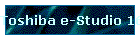 Toshiba e-Studio 165 Printing Guide